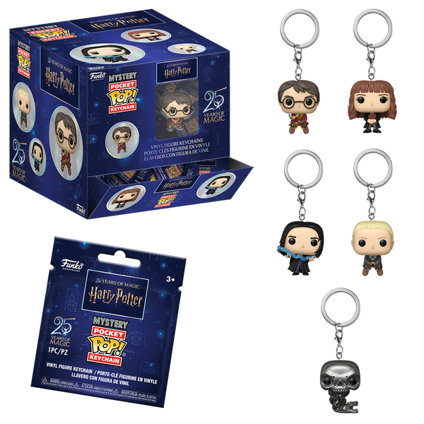 Mystery Pop! Keychain Harry Potter (25th Anniversary) (Pre-Order)