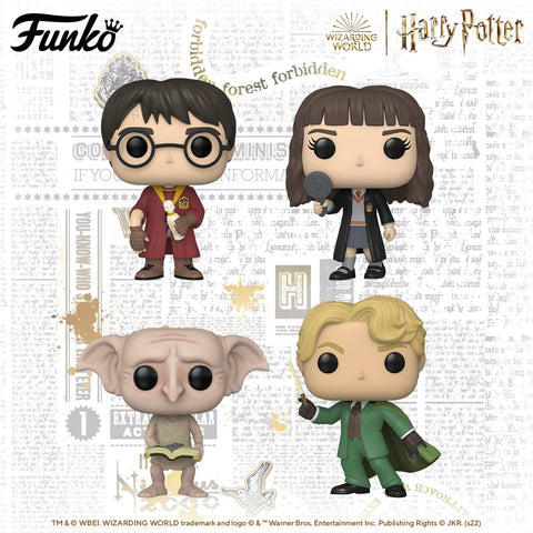 Harry Potter 20th Anniversary Funko Pop Wave Includes Mini Moments and Hogwarts  Pop Town